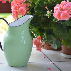 pitcher, metal, metal jug, nature, to water, watering, a jug of water, green, plants, gardening